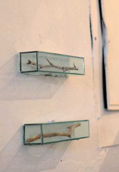Ярослав Футимський. Виставка «іо 733 дерева. Проект Боздоський парк», галерея «Коридор», 2012